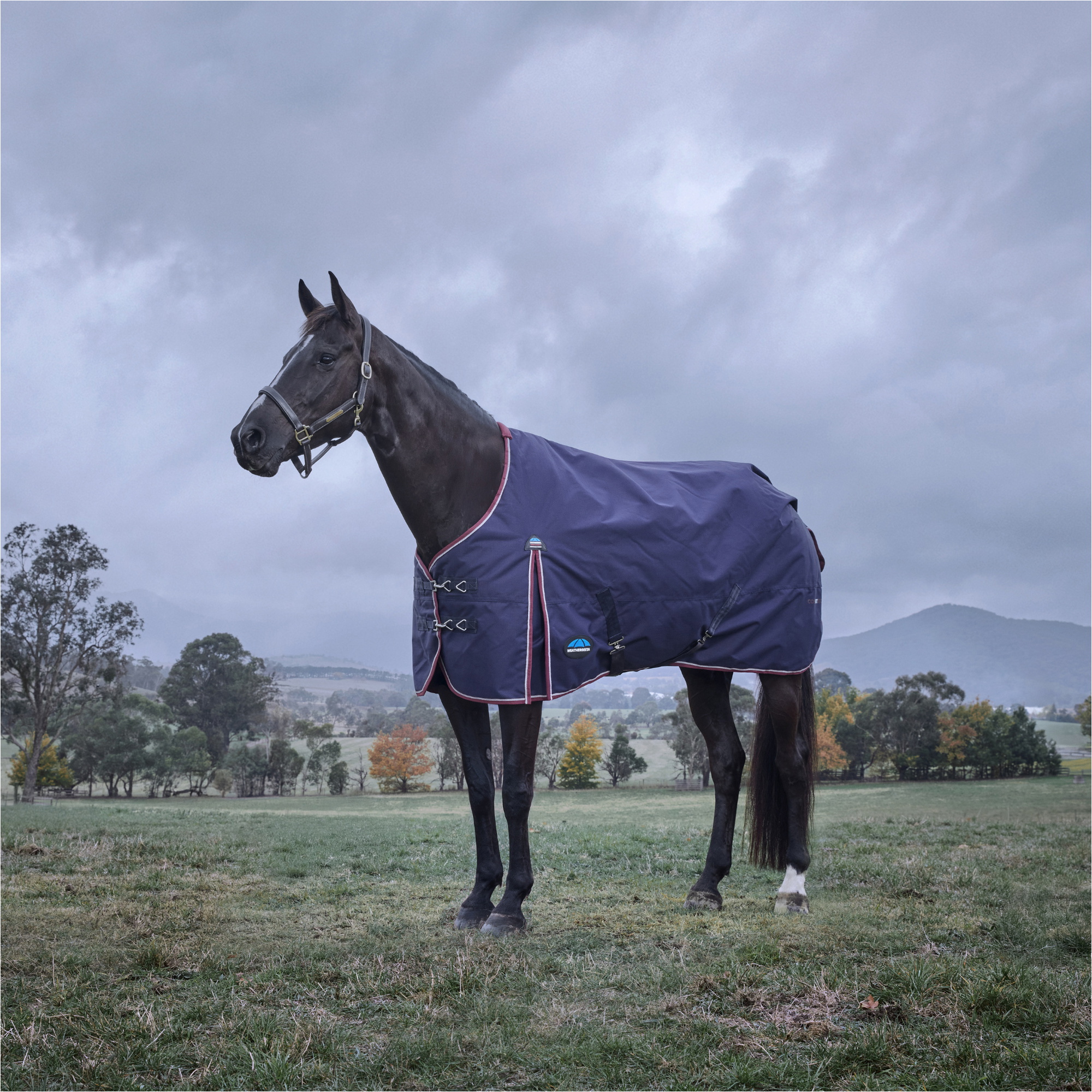 2025 WeatherBeeta Comfitec Essential Turnout 1029022 - Navy